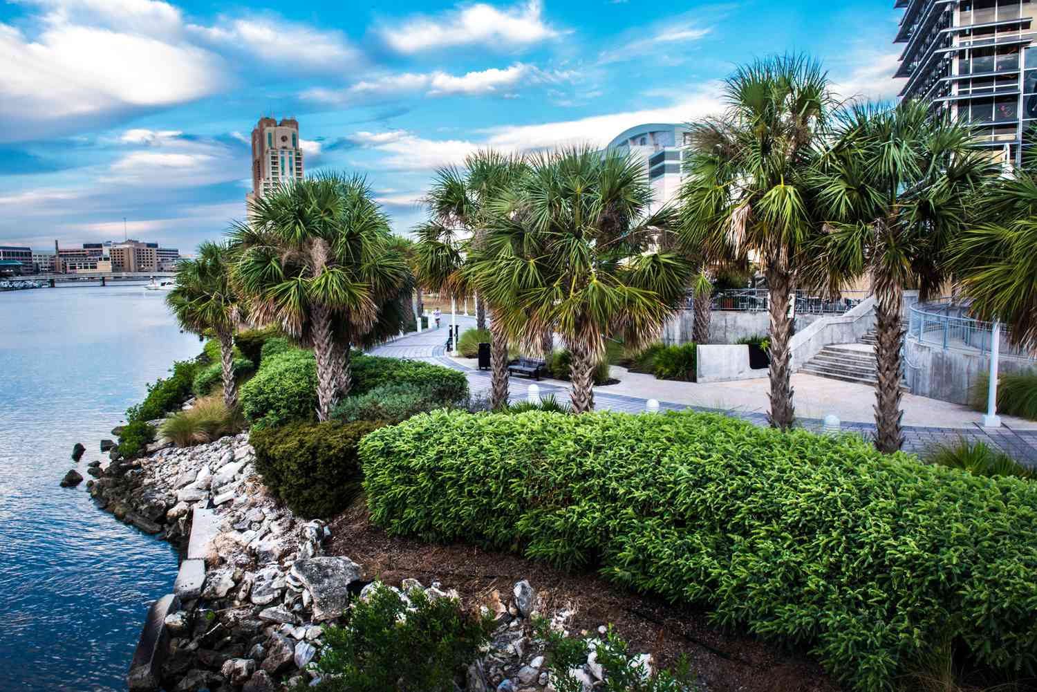 Passive real estate ownership in Tampa